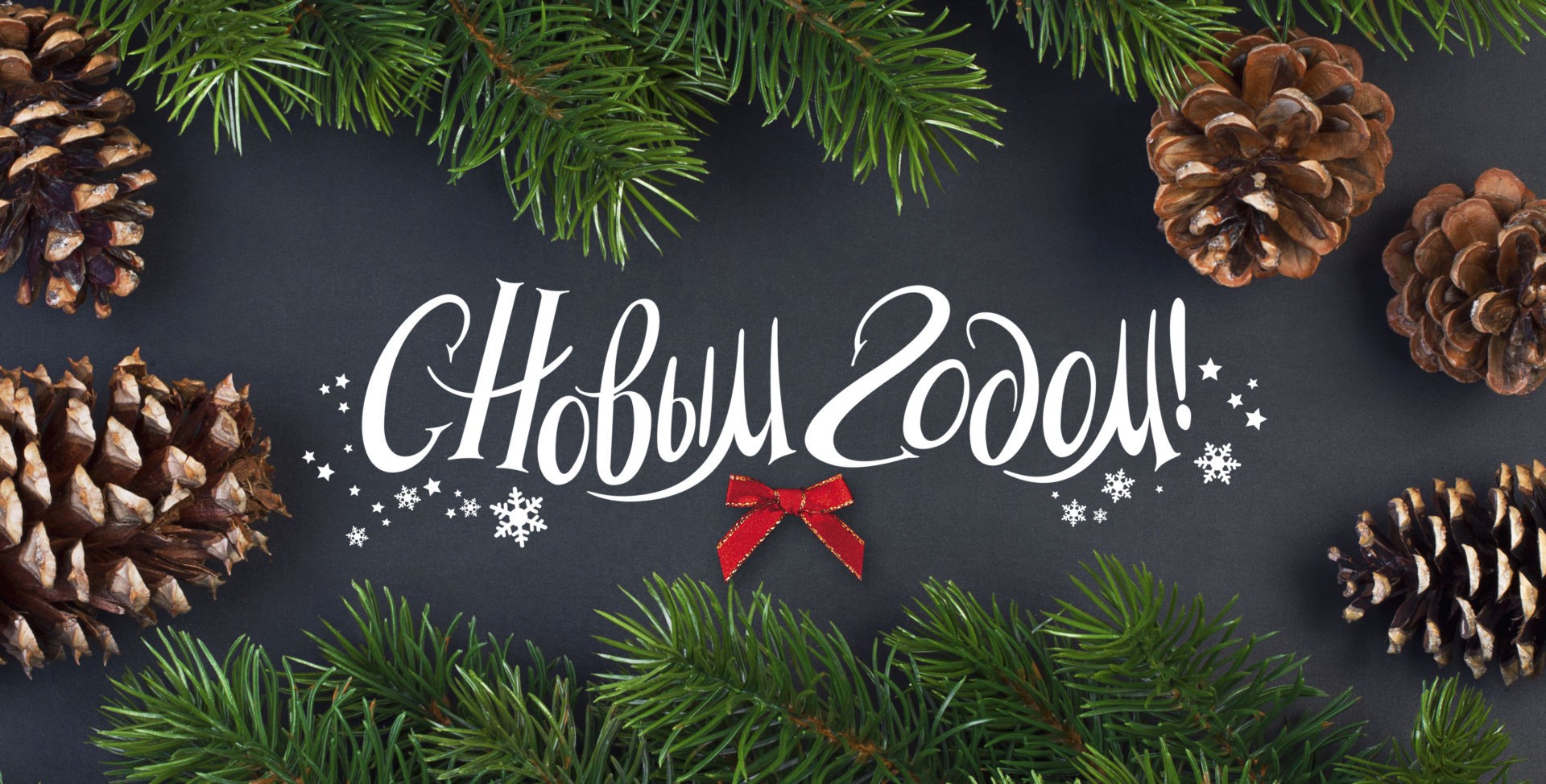 Поздравляем с Новым Годом 2024!